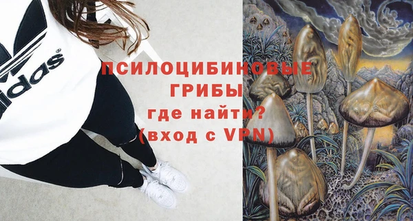 сатива Семикаракорск